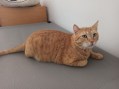 Rubio (3)